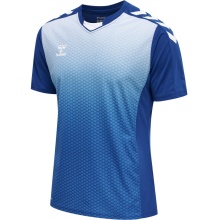 hummel Sport-Tshirt hmlCORE XK Sublimation Jersey (Interlock-Stoff, Beecool) Kurzarm dunkelblau Herren