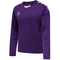 hummel Sport-Tshirt hmlCORE XK Poly Jersey (Interlock-Stoff) Langarm violett Herren