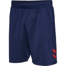 hummel Sporthose hmlQ4 Poly Shorts (leichter Mesh-Gewebe) Kurz dunkelblau Herren