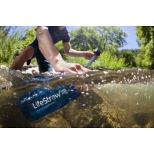 LifeStraw Trinkflasche Go mit Wasserfilter, Verschluss mit Silikonmundstück, Karabiner grau - 650 ml