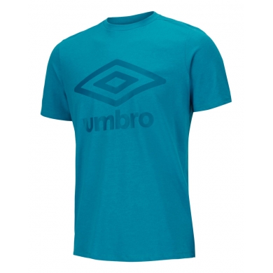 umbro Tshirt Big Logo aquablau/dunkelblau Herren
