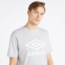 umbro Freizeit-Tshirt Big Logo (Baumwolle) grau/weiss Herren