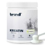 Brandl Kreatin CREAPURE Creatin Monohydrat Pulver 500g Dose