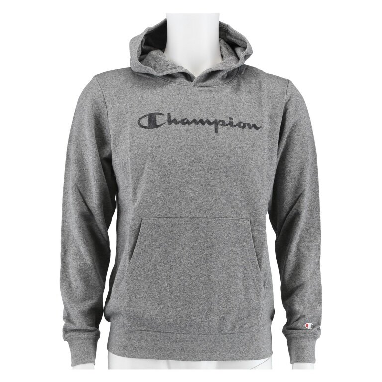 bestellen Kapuzenpullover (Hoodie) Classic Jungen Logo grau Big Champion Print online