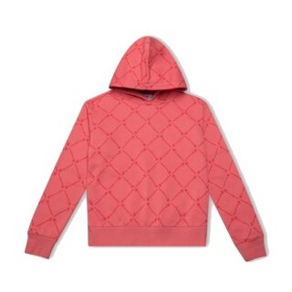 Champion Kapuzenpullover Hoodie American Classic pink Mädchen