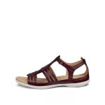 ECCO Sandale Flash Roman (Vollnarbenleder) burgundrot Damen