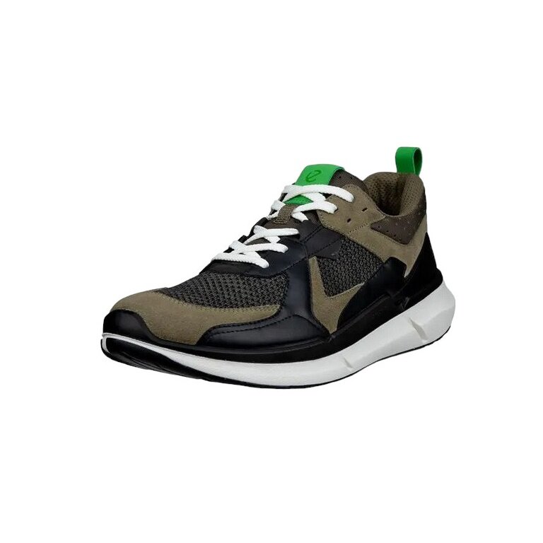 ECCO Sneaker Biom 2.2 (ECCO-Leder) sagegrün/schwarz Herren