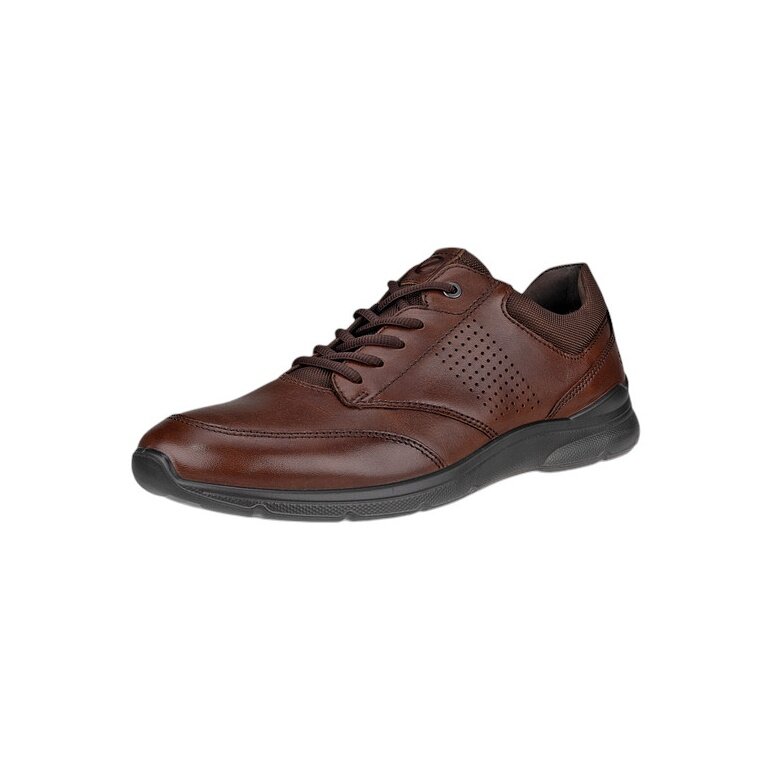 ECCO Sneaker Irving Low Lace (Vollnarbenleder) dunkelbraun Herren