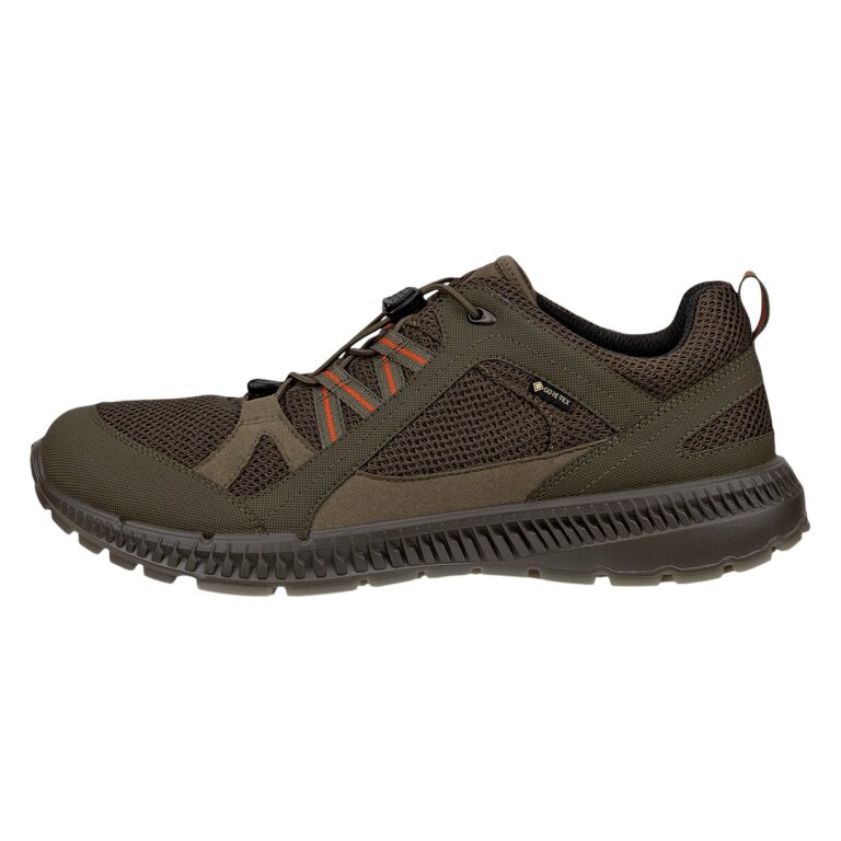 ECCO Wanderschuhe Terracruise ll TEX GTX 2025 (wasserdicht, strapazierfähige Sohle) grün Herren