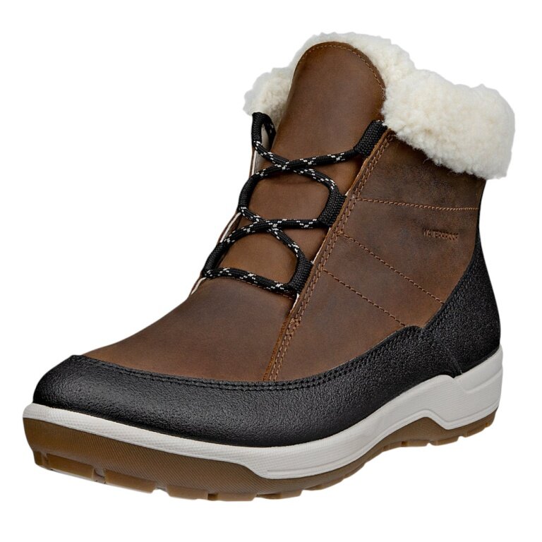 ECCO Stiefelette Trace Lite (Nubukleder, wasserdicht) braun/schwarz Damen