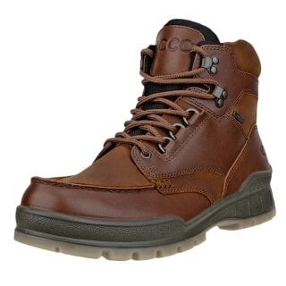 ECCO Alltag-Travelschuhe Track 25 Mid GTX (Nubukleder, wasserdicht) dunkelbraun Herren