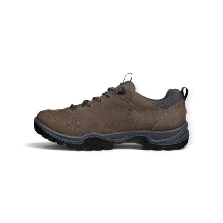 ECCO Wanderschuhe Receptor Trekk (Nubukleder, wasserdicht) braun Herren