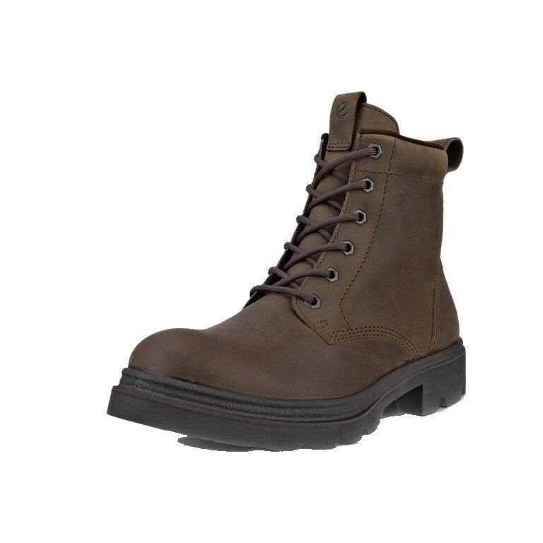 ECCO Winterstiefel Grainer 6IN Boot Warm (Ecco-Leder, wasserabweisend und warm) dunkelbraun Damen