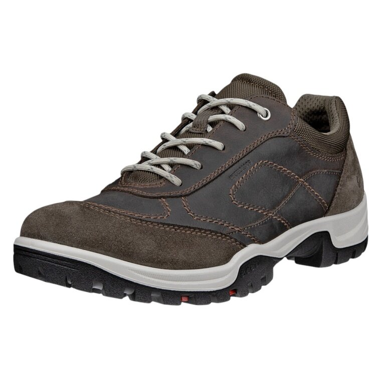 ECCO Wanderschuhe Xpedition III (Premium-Leder, wasserdicht) braun Damen