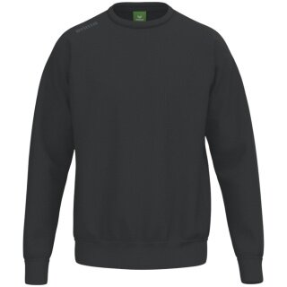 Erima Freizeit-Pullover TS (Baumwollmix) schwarz Herren