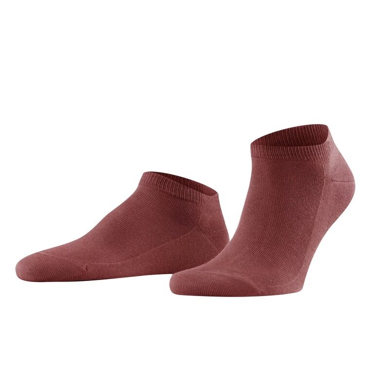 Falke Tagessocke Family Sneaker rostrot Herren - 1 Paar