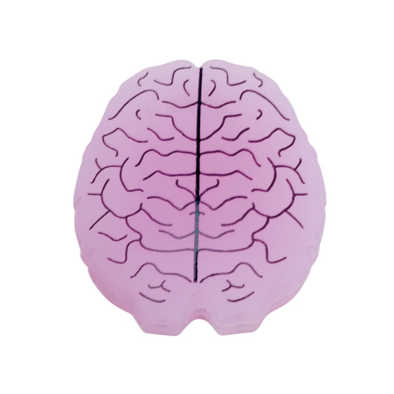 Gamma Schwingungsdämpfer Gehirn einzeln