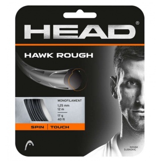 Head Tennissaite Hawk Rough 1.25 (Haltbarkeit+Power) anthrazit 12m Set