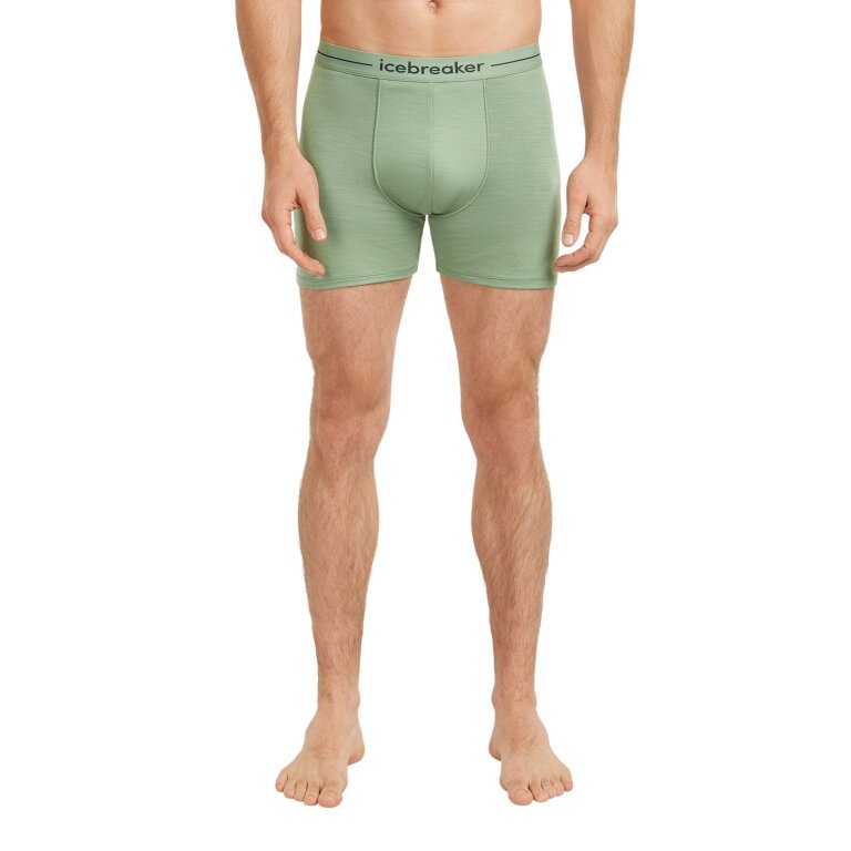 Icebreaker Boxershort Anatomica (Merinowolle) Unterwäsche sea grün Herren