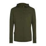 Icebreaker Kapuzenjacke Merino 260 Quantum IV Zip-Hoodie (100% Merinowolle) grün Herren