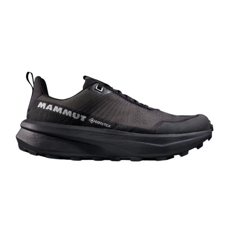 Mammut Wanderschuhe Aenergy Mtn Low GTX (Fast Hiking, wasserdicht) schwarz/iguana Herren