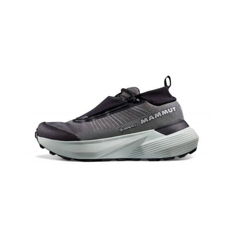 Mammut Wanderschuhe Aenergy Ultra Low GTX (Multifunktion, wasserdicht) silber/grau Herren