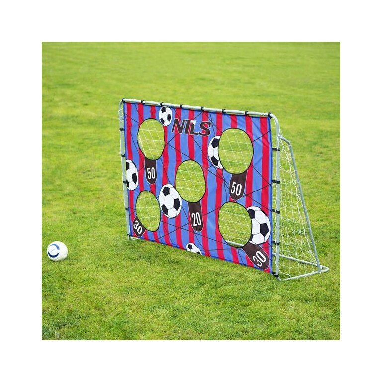 Nils Camp Fussballtore NT7788 mit Trainingspanel - 215x150cm - grau/blau/rot