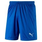 Puma Sporthose Short Liga Core kurz blau Herren