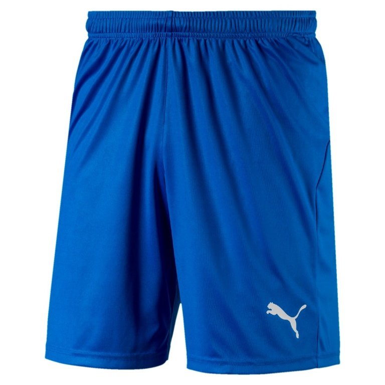 Puma Sporthose Short Liga Core kurz blau Herren