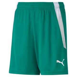 Puma Sporthose teamLIGA Shorts grün Kinder