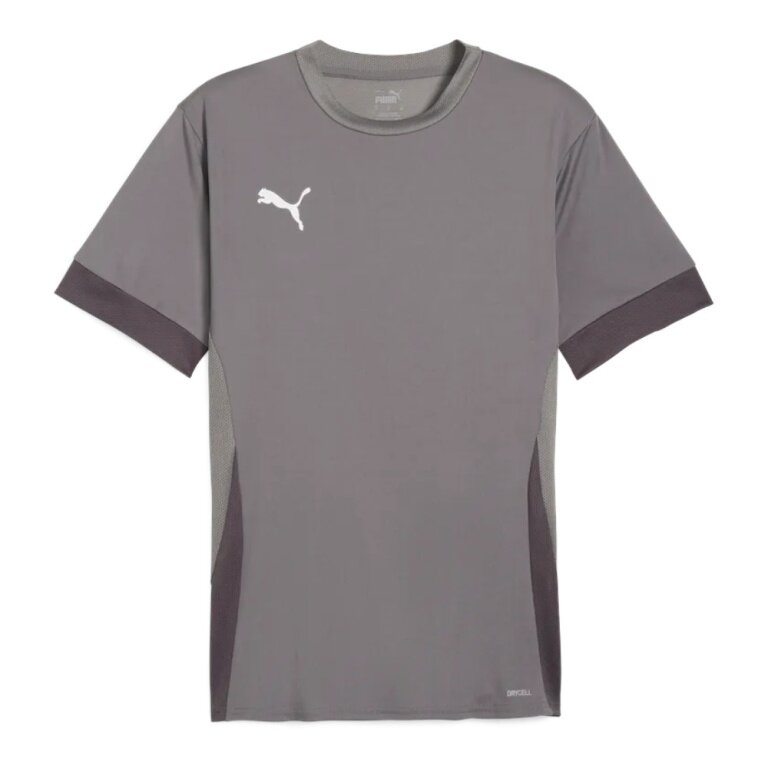 Puma Sport-Shirt teamGOAL Matchday Jersey grau Herren