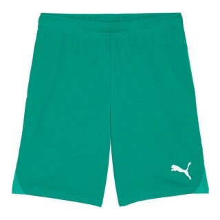 Puma Sporthose teamGOAL Shorts (100% rec. Polyester) kurz grün Herren