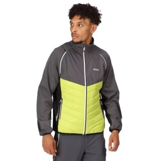 Regatta Softshelljacke und Weste Steren (winddicht, wasserabweisend) grau/lime Herren