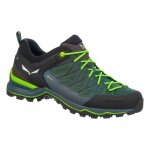 Salewa Wanderschuhe Mtn Trainer Lite GTX (Zustieg, wasserdicht) grün Herren