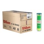 Wilson Methodikbälle Stage 1 Starter Play Green Dose 18x4er Karton