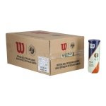 Wilson Tennisbälle Roland Garros Clay Dose 24x3er im Karton