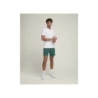 Wilson Tennis-Polo Team Seamless 2024 weiss Herren