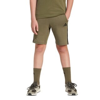 adidas Trainingshose Essentials (Baumwolle) kurz olivegrün Jungen