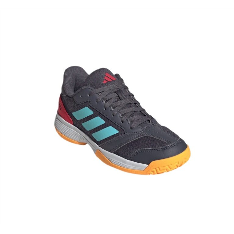 adidas Hallen-Indoorschuhe Ligra 8 dunkelgrau/bunt Kinder