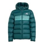 adidas Winterjacke J SD (warm, synthetische Isolierung) aurora ivygrün Kinder
