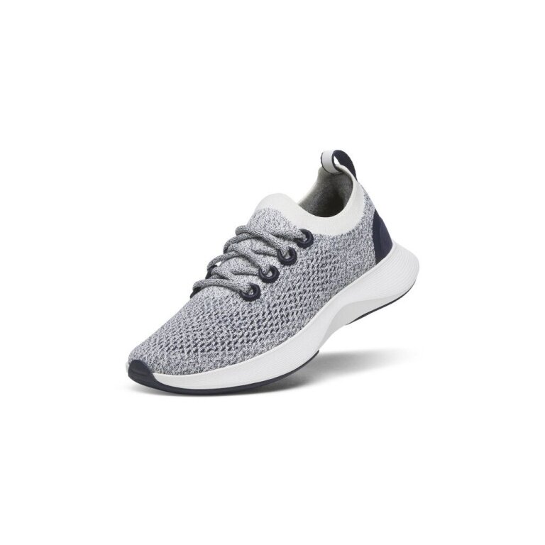 allbirds Sneaker Dasher NZ grau Herren