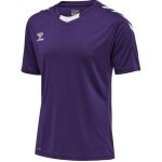 hummel Sport-Tshirt hmlCORE XK Poly Jersey (robuster Doppelstrick) Kurzarm violett/weiss Herren