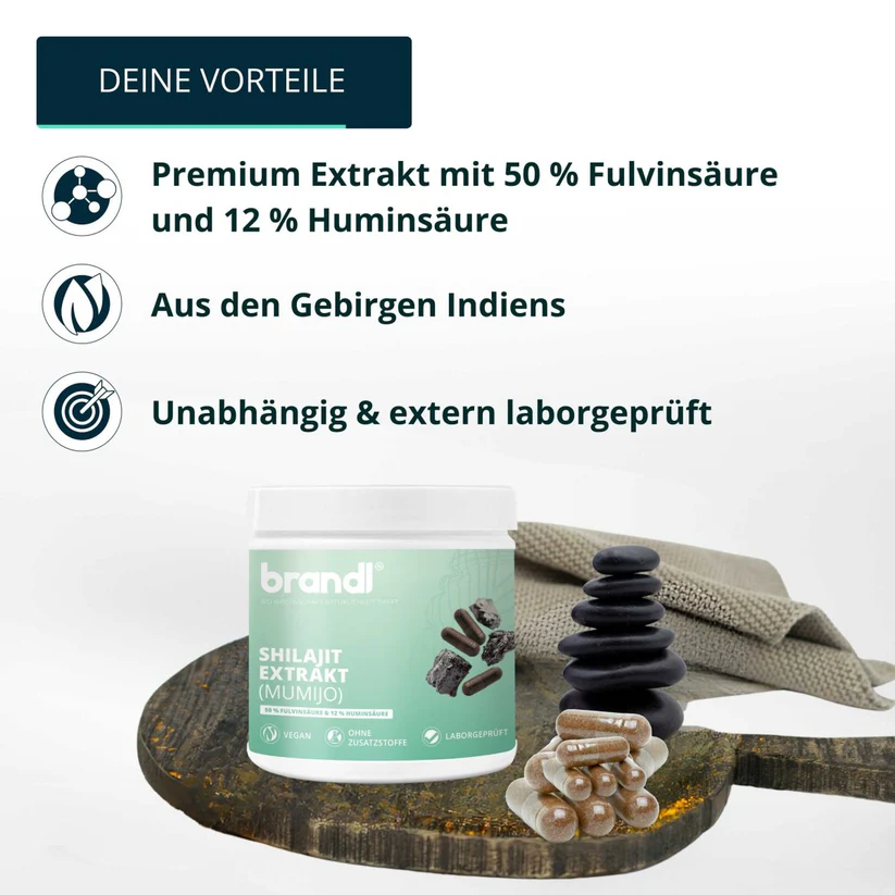 Brandl Shilajit Extrakt (500mg Shilajit Extrakt) 120 Kapseln